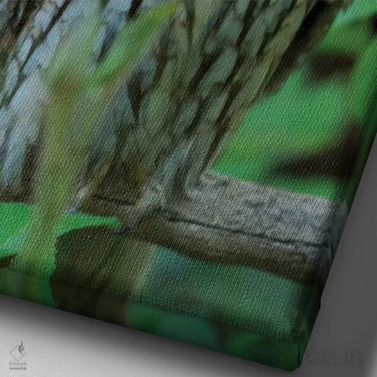 تابلو دکوراتیو Germany, Bavaria,جغد گوش دراز. در محوطه پارک ملی جنگل باوار… اثر مارتین زویک - نمای نزدیک بافت بوم