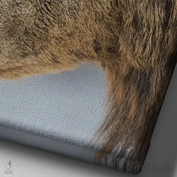 تابلو دکوراتیو Red Deer In Snow, Alpenwildpark Obermaiselstein Europe, Ger… اثر مارتین زویک - نمای نزدیک بافت بوم