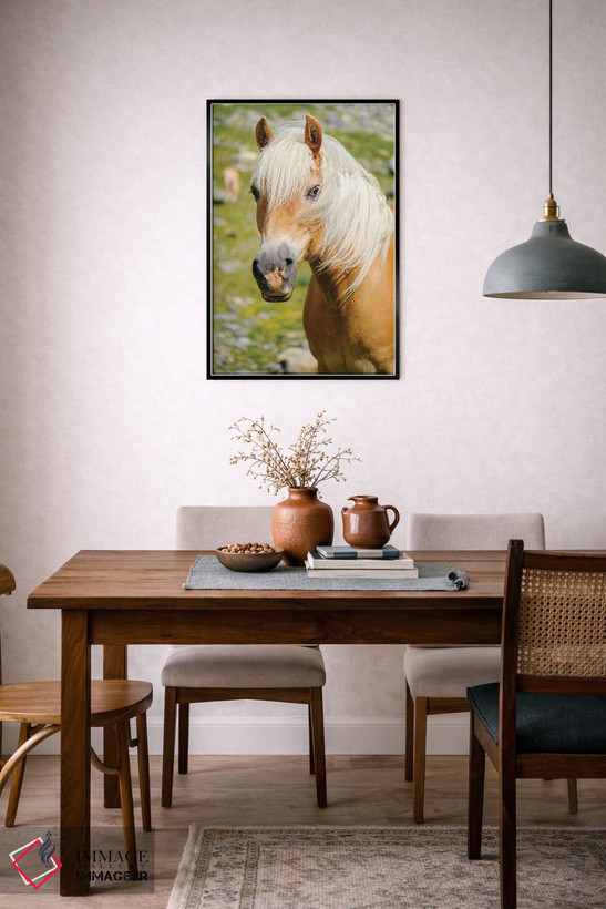 تابلو دکوراتیو Rotmoostal) Austria, Tyrol III,اسب هافلینگر در چراگاه کوهست… اثر مارتین زویک - D6B