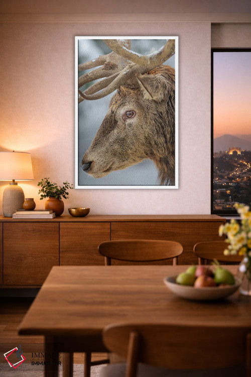 تابلو دکوراتیو Red Deer In Snow, Alpenwildpark Obermaiselstein Europe, Ger… اثر مارتین زویک - D1W