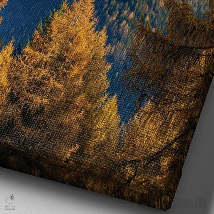 تابلو دکوراتیو In The Province Of Trentino In Italy.,قله برنتا. منظره ای ا… اثر مارتین زویک - نمای نزدیک بافت بوم