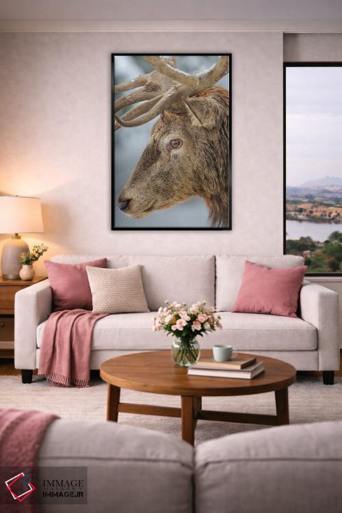 تابلو دکوراتیو Red Deer In Snow, Alpenwildpark Obermaiselstein Europe, Ger… اثر مارتین زویک - D4B