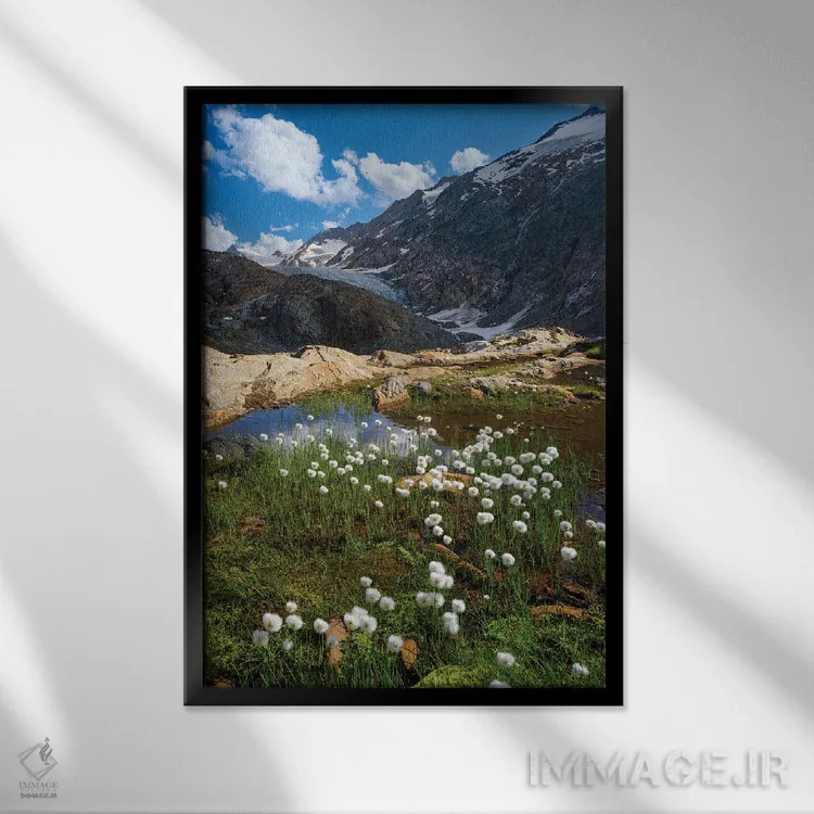 تابلو دکوراتیو Austria, Tyrol,علف پنبه ای سفید در مقابل یخچال گورگلر در در… اثر مارتین زویک - نمای قابدار مشکی