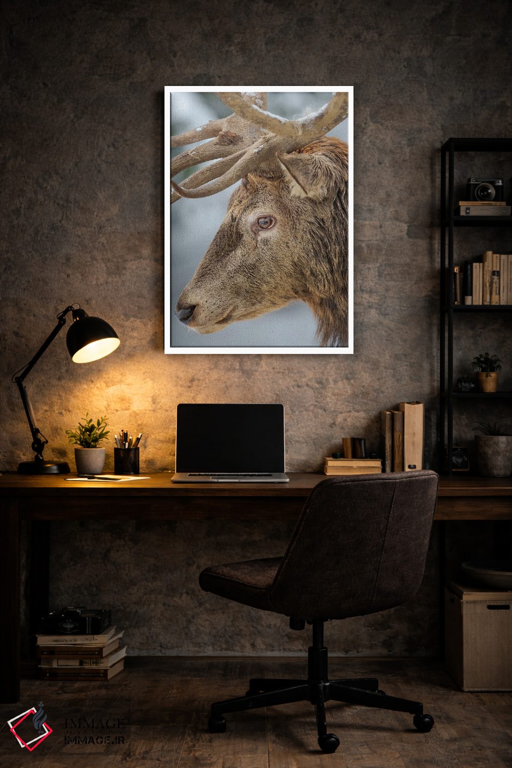 تابلو دکوراتیو Red Deer In Snow, Alpenwildpark Obermaiselstein Europe, Ger… اثر مارتین زویک - D6W