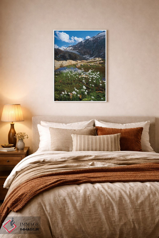 تابلو دکوراتیو Austria, Tyrol,علف پنبه ای سفید در مقابل یخچال گورگلر در در… اثر مارتین زویک - D6W