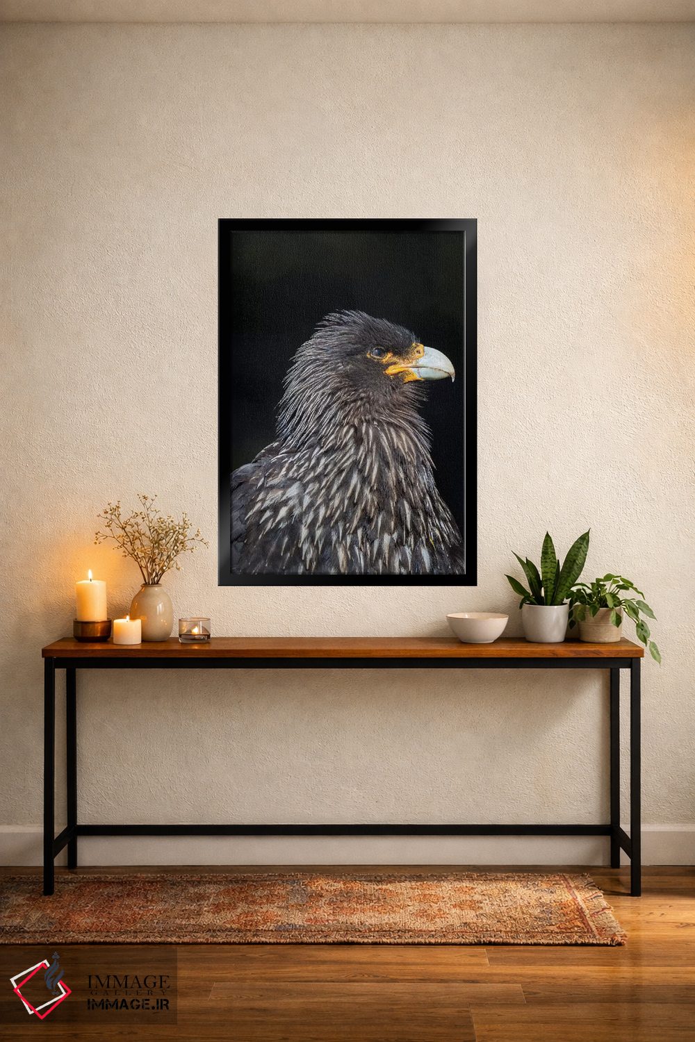 تابلو دکوراتیو protected and highly intelligent bird of prey. Falkland Isl… اثر مارتین زویک - D5B