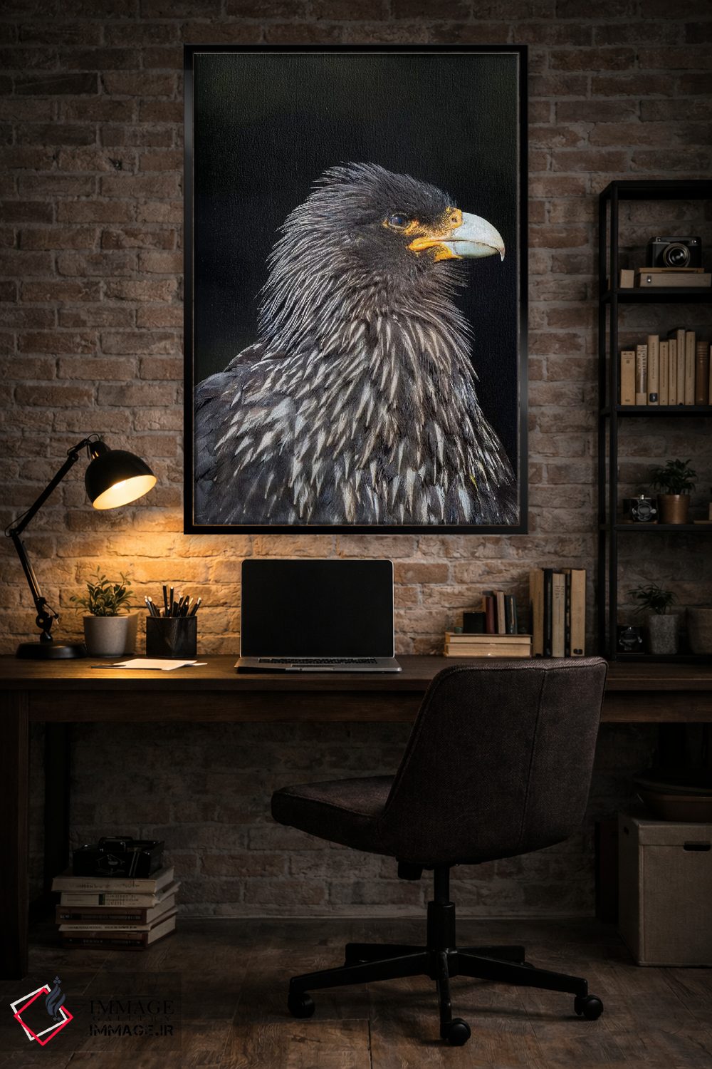 تابلو دکوراتیو protected and highly intelligent bird of prey. Falkland Isl… اثر مارتین زویک - D6B