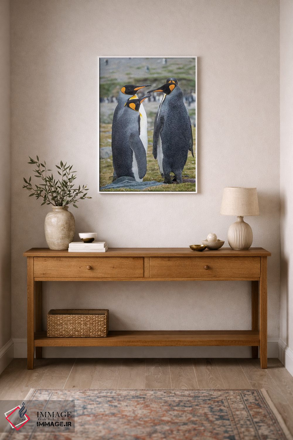 تابلو دکوراتیو کلونی پنگوئن شاهی در خلیج سنت اندروز. رفتار خواستگاری. جزیر… اثر مارتین زویک - D1W