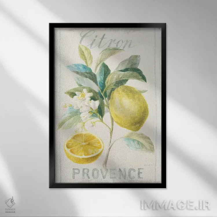 تابلو مدرن لیمو فلورساک چهارم اثر دان هوی نای - نمای قابدار مشکی