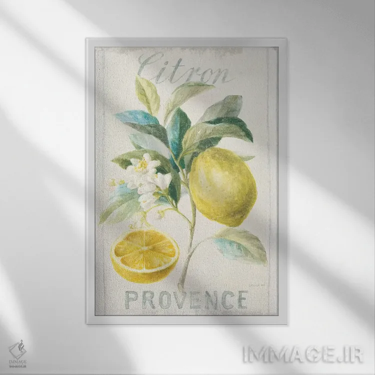 تابلو مدرن لیمو فلورساک چهارم اثر دان هوی نای - نمای قابدار سفید