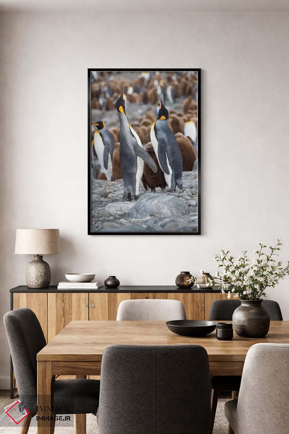 تابلو دکوراتیو کلونی پنگوئن شاهی در خلیج سنت اندروز. رفتار تغذیه. جزیره جو… اثر مارتین زویک - D4B