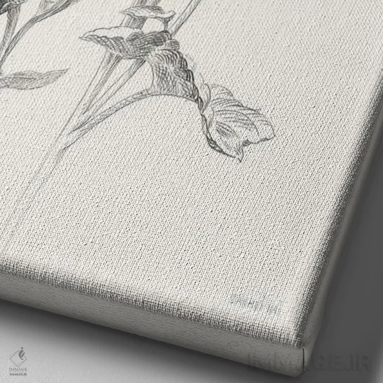 تابلو مینیمال گل های نوستالژی مزرعه یک اثر دان هوی نای - نمای نزدیک بافت بوم