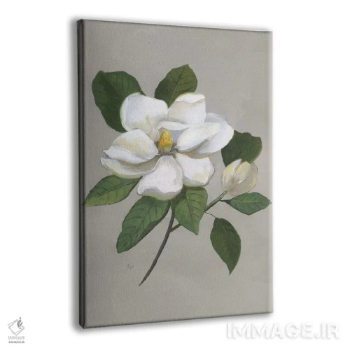 تابلو مدرن ماگنولیای گیاهی اثر نان - نمای پرسپکتیو محصول