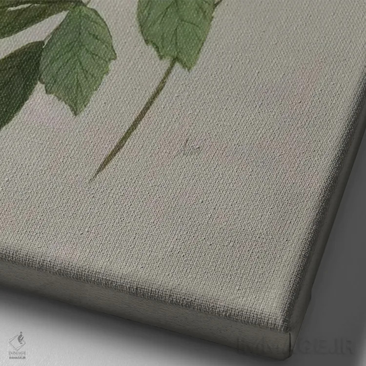 تابلو مدرن رز گیاهی اثر نان - نمای نزدیک بافت بوم