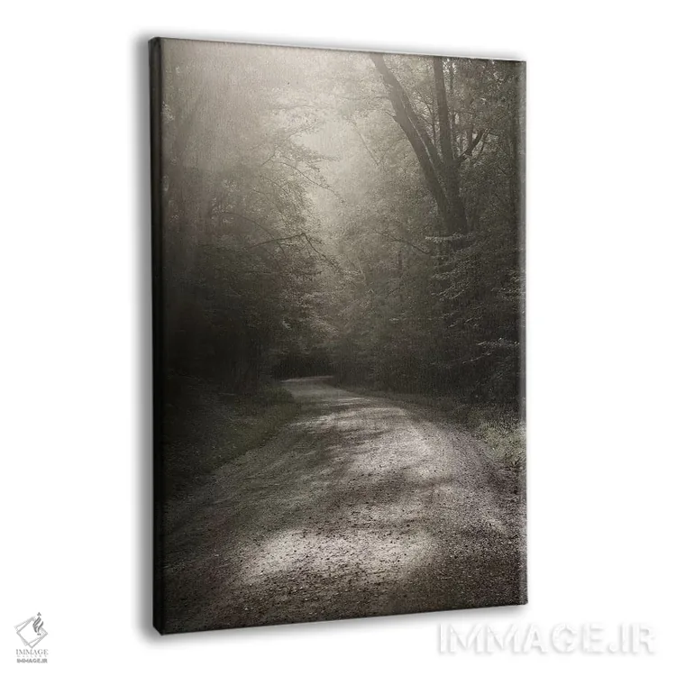 تابلو دکوراتیو جاده روستایی اثر عکاسی نیکلاس بل - نمای پرسپکتیو محصول