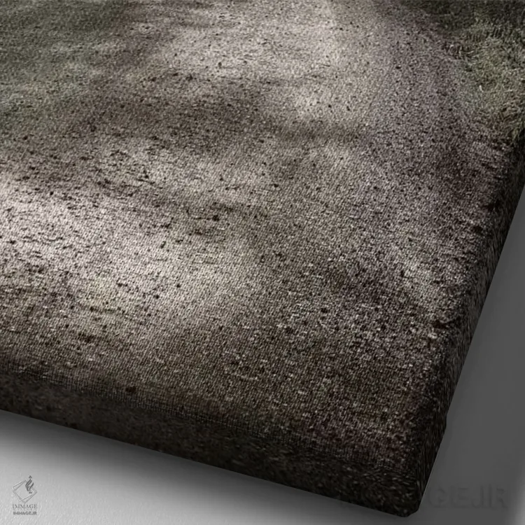 تابلو دکوراتیو جاده روستایی اثر عکاسی نیکلاس بل - نمای نزدیک بافت بوم