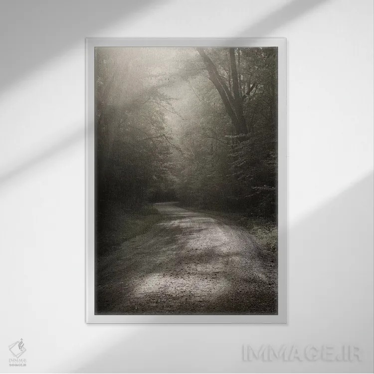 تابلو دکوراتیو جاده روستایی اثر عکاسی نیکلاس بل - نمای قابدار سفید