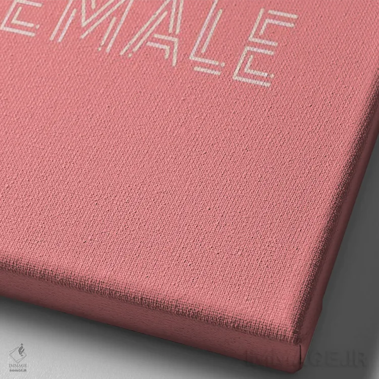 تابلو دکوراتیو حال حاضر زنانه است اثر نیکول باسک - نمای نزدیک بافت بوم