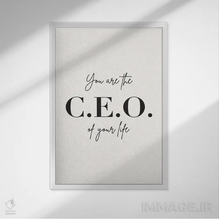 تابلو دکوراتیو تو مدیرعامل زندگی خودت هستی اثر نیکول باسک - نمای قابدار سفید