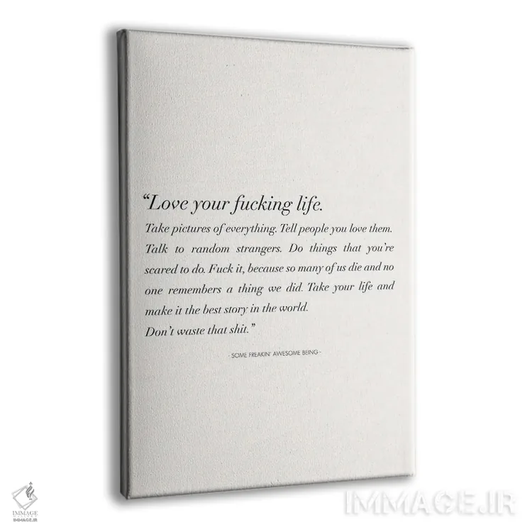 تابلو دکوراتیو زندگی لعنتی ات را عاشق باش اثر نیکول باسک - نمای پرسپکتیو محصول