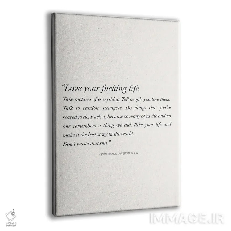 تابلو دکوراتیو زندگی لعنتی ات را عاشق باش اثر نیکول باسک - نمای پرسپکتیو محصول