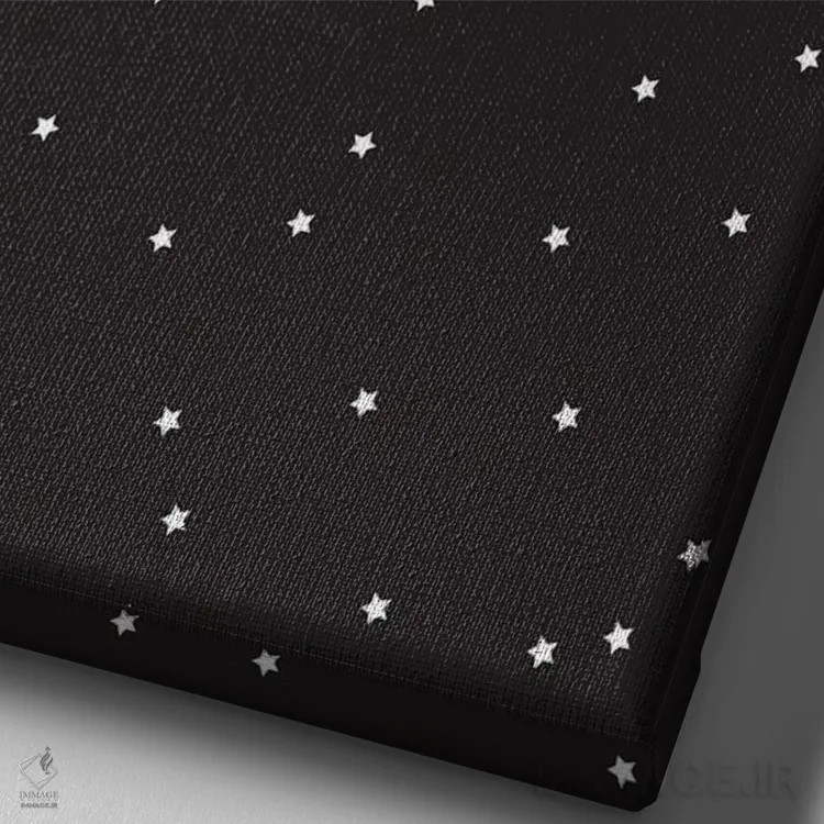 تابلو دکوراتیو غار مردانه کوچک اثر نیکول باسک - نمای نزدیک بافت بوم