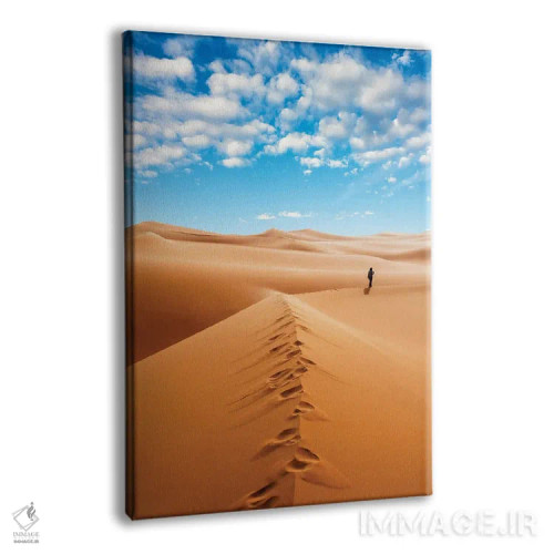 تابلو دکوراتیو Erg Murzuq, Sahara Desert, Fezzan, Libya, North Africa,زن… اثر نیکو تونباوری - نمای پرسپکتیو محصول