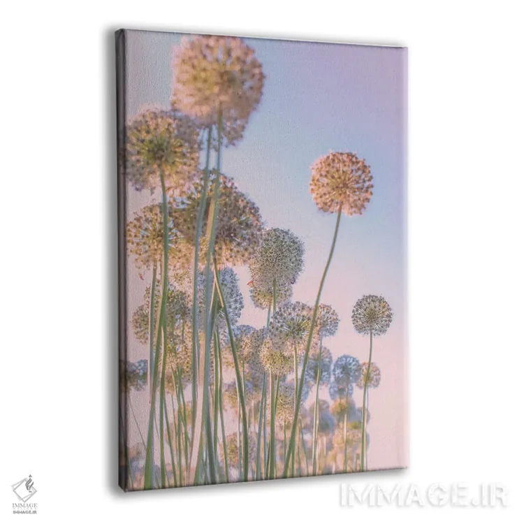 تابلو دکوراتیو خیالبافی اثر نانسی کروول - نمای پرسپکتیو محصول