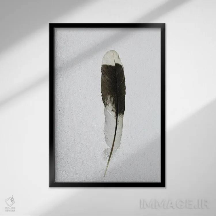 تابلو مینیمال تنها اثر نانسی کروول - نمای قابدار مشکی