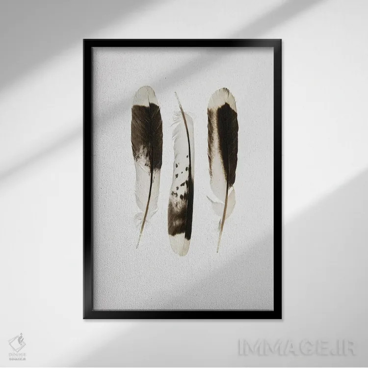 تابلو دکوراتیو با هم اثر نانسی کروول - نمای قابدار مشکی