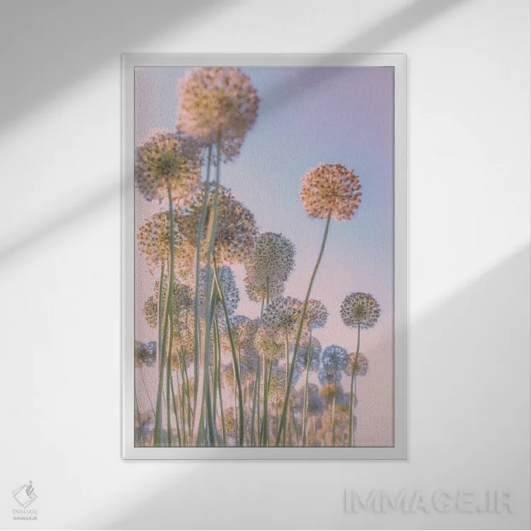 تابلو دکوراتیو خیالبافی اثر نانسی کروول - نمای قابدار سفید