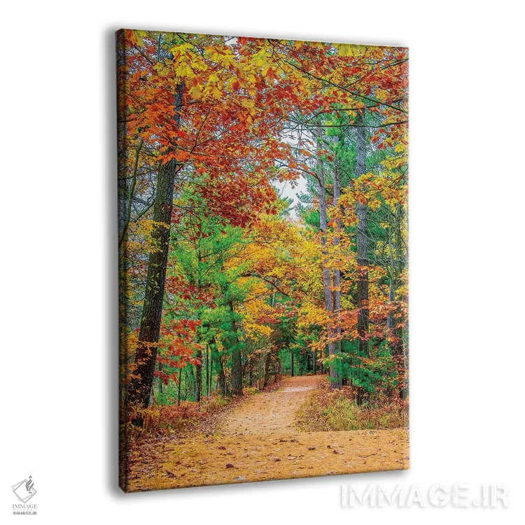 تابلو دکوراتیو جاده به سوی جنگل اثر نجدت دوزن - نمای پرسپکتیو محصول