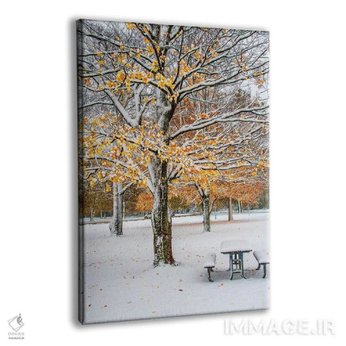 تابلو دکوراتیو پاییز و برف اثر نجدت دوزن - نمای پرسپکتیو محصول