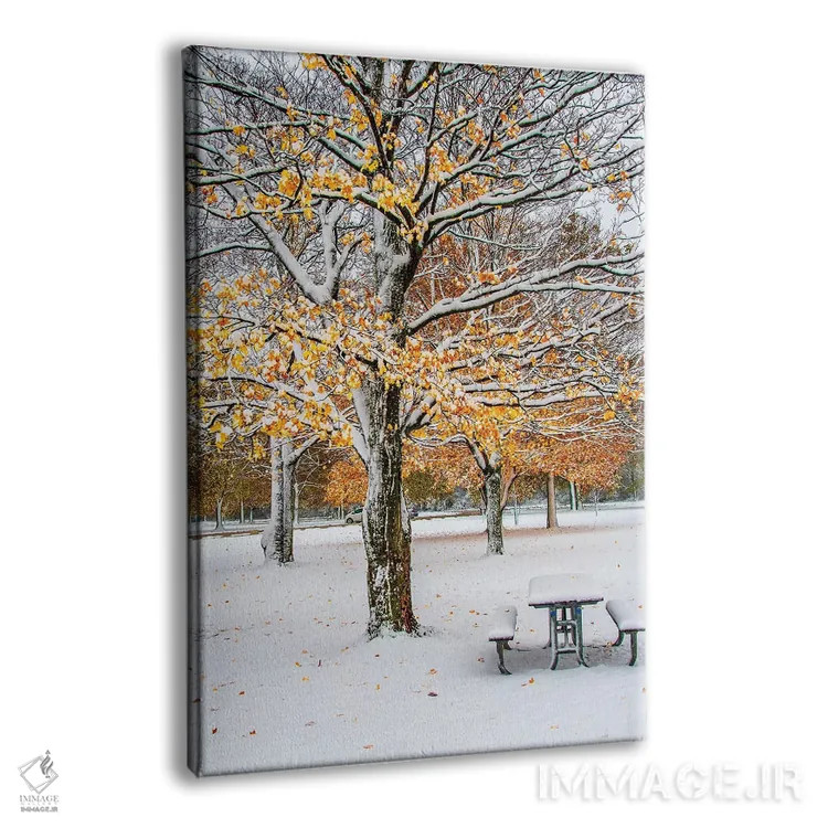 تابلو دکوراتیو پاییز و برف اثر نجدت دوزن - نمای پرسپکتیو محصول