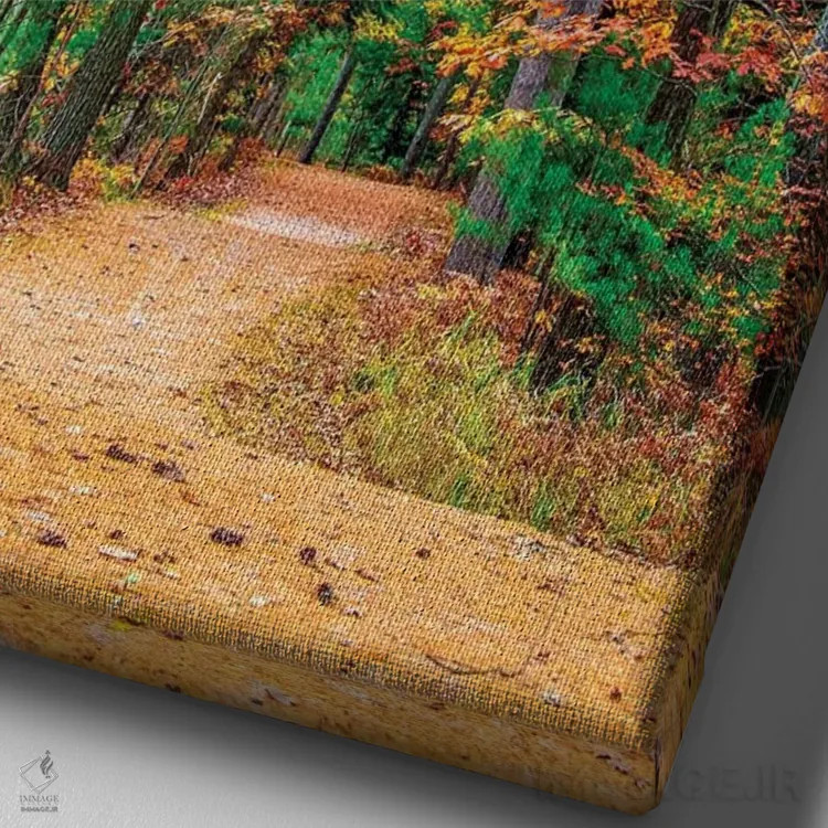 تابلو دکوراتیو جاده به سوی جنگل اثر نجدت دوزن - نمای نزدیک بافت بوم