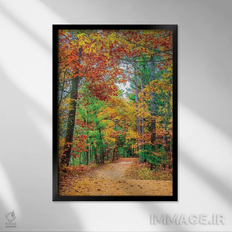 تابلو دکوراتیو جاده به سوی جنگل اثر نجدت دوزن - نمای قابدار مشکی