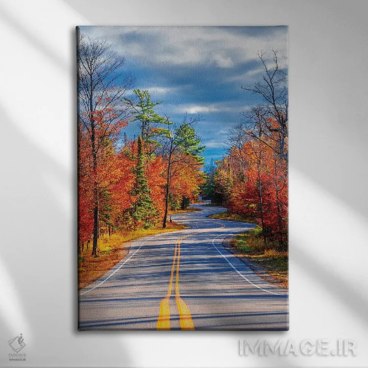 تابلو دکوراتیو جاده پیچ دار اثر نجدت دوزن - نمای روبهرو روی دیوار