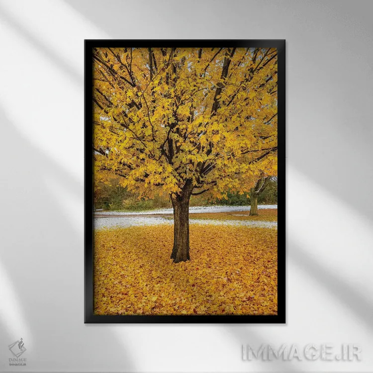 تابلو دکوراتیو شاخ و برگ زرد اثر نجدت دوزن - نمای قابدار مشکی