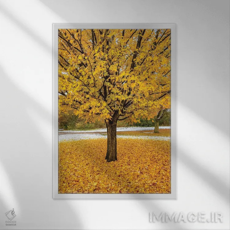 تابلو دکوراتیو شاخ و برگ زرد اثر نجدت دوزن - نمای قابدار سفید