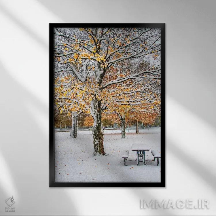 تابلو دکوراتیو پاییز و برف اثر نجدت دوزن - نمای قابدار مشکی