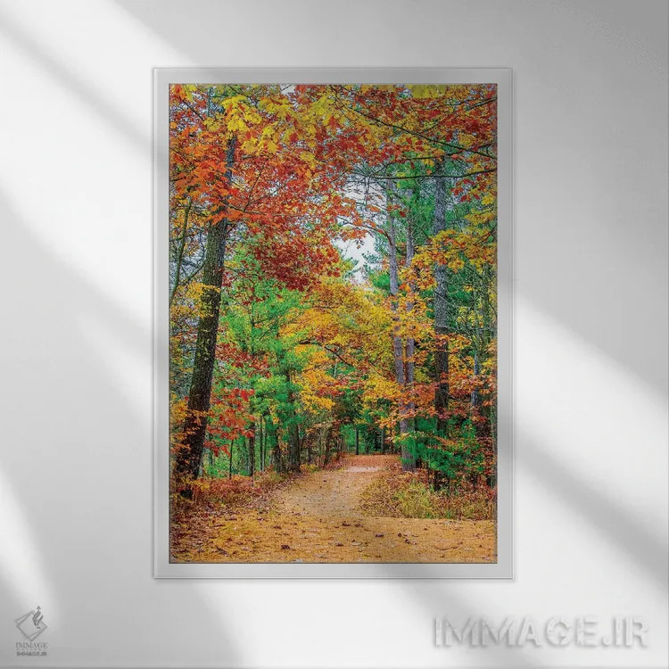 تابلو دکوراتیو جاده به سوی جنگل اثر نجدت دوزن - نمای قابدار سفید