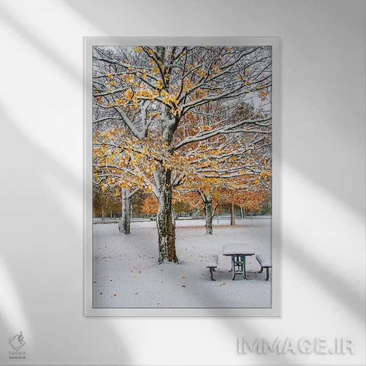 تابلو دکوراتیو پاییز و برف اثر نجدت دوزن - نمای قابدار سفید