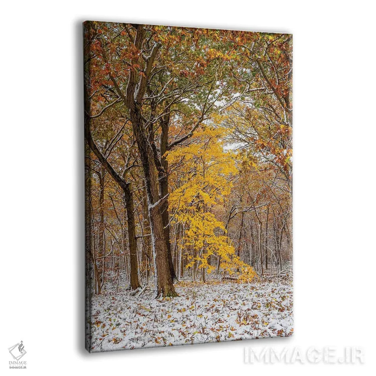 تابلو دکوراتیو سفید و زرد اثر نجدت دوزن - نمای پرسپکتیو محصول