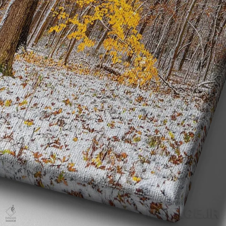 تابلو دکوراتیو سفید و زرد اثر نجدت دوزن - نمای نزدیک بافت بوم