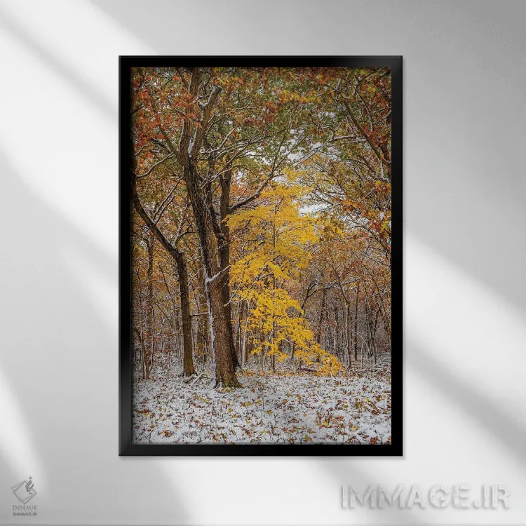 تابلو دکوراتیو سفید و زرد اثر نجدت دوزن - نمای قابدار مشکی