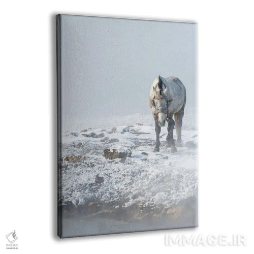 تابلو دکوراتیو حمام حیوانات اثر نجدت دوزن - نمای پرسپکتیو محصول