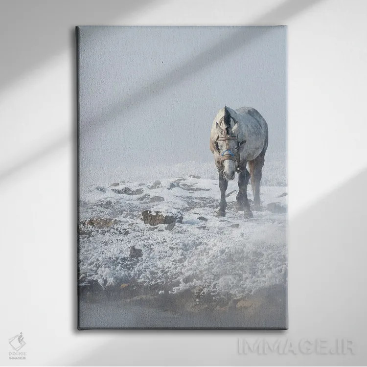 تابلو دکوراتیو حمام حیوانات اثر نجدت دوزن - نمای روبهرو روی دیوار