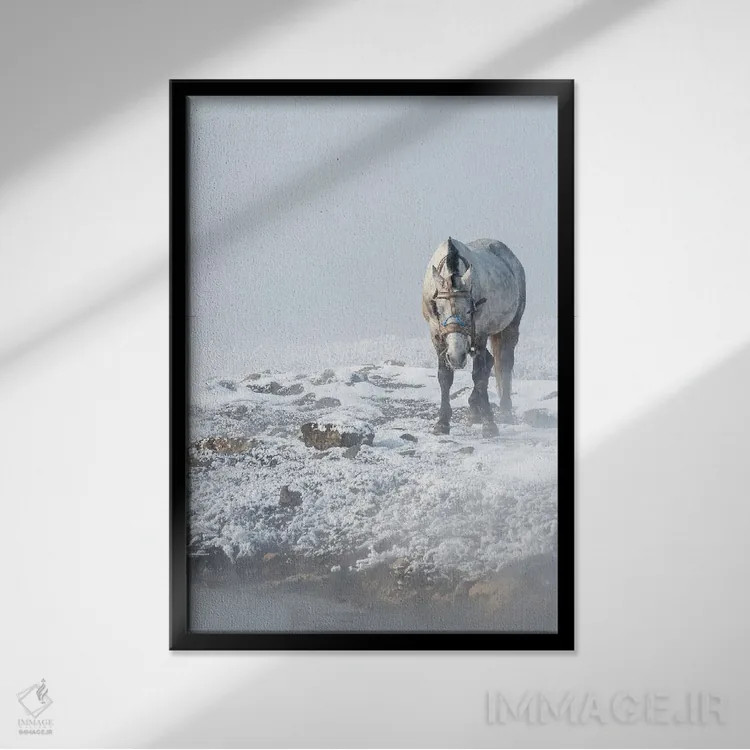 تابلو دکوراتیو حمام حیوانات اثر نجدت دوزن - نمای قابدار مشکی