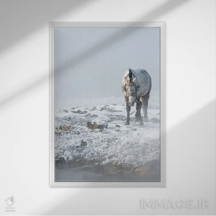 تابلو دکوراتیو حمام حیوانات اثر نجدت دوزن - نمای قابدار سفید