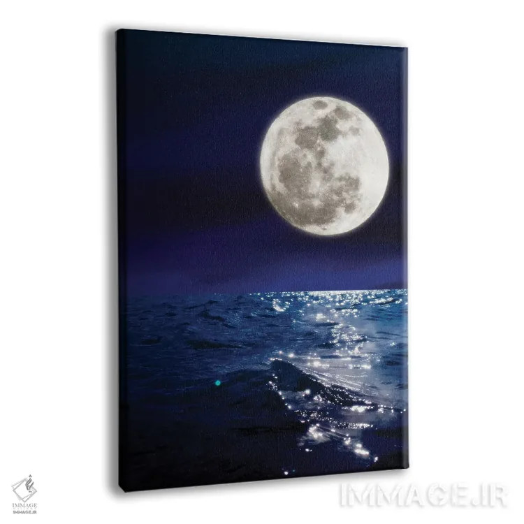 تابلو دکوراتیو مرا کنار ماه ملاقات کن اثر نیتن هد - نمای پرسپکتیو محصول